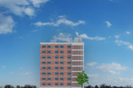 3D Max Project